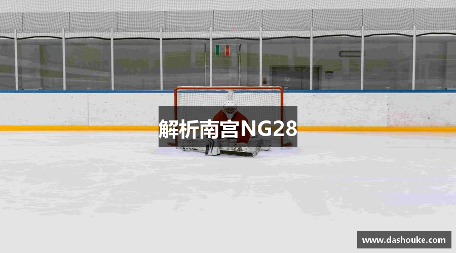 解析南宫NG28